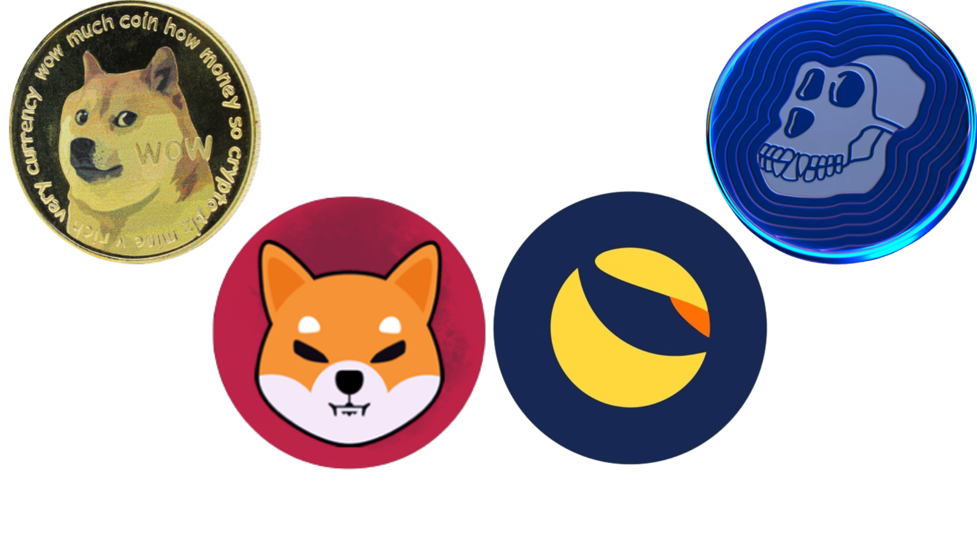 doge, ape, shiba inu, terra classic